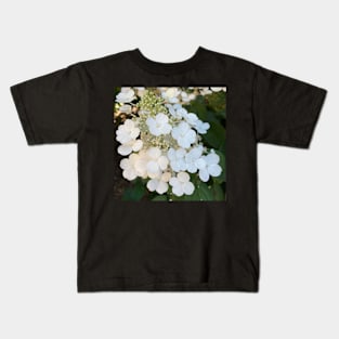 White hydrangeas Kids T-Shirt